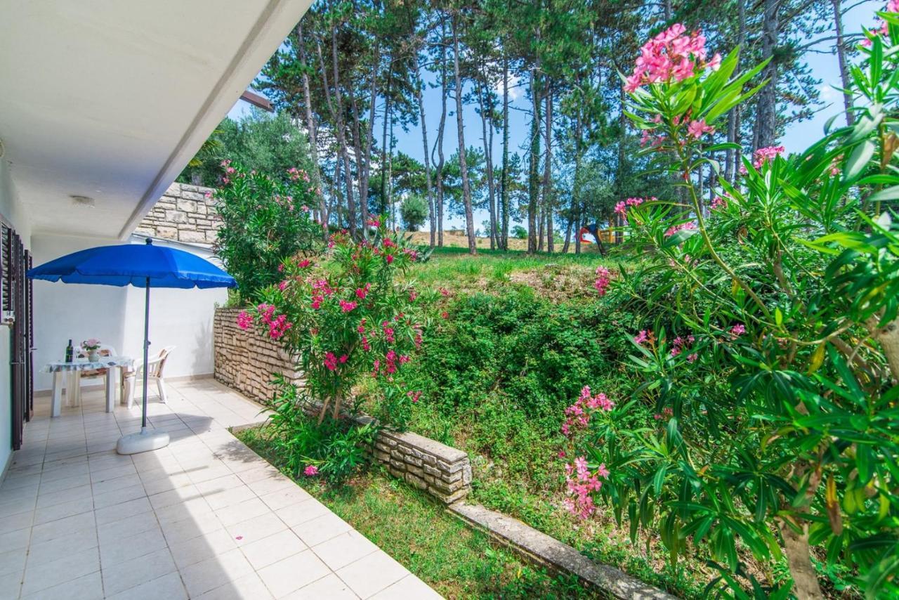 Apartments Pino Rabac Luaran gambar